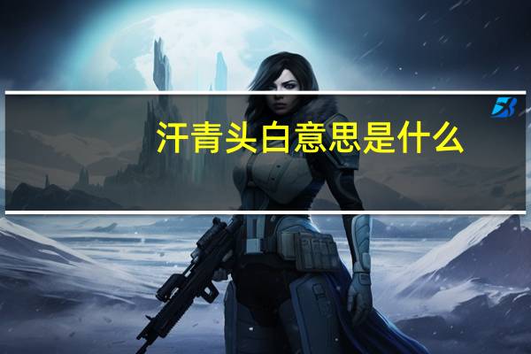 汗青头白意思是什么