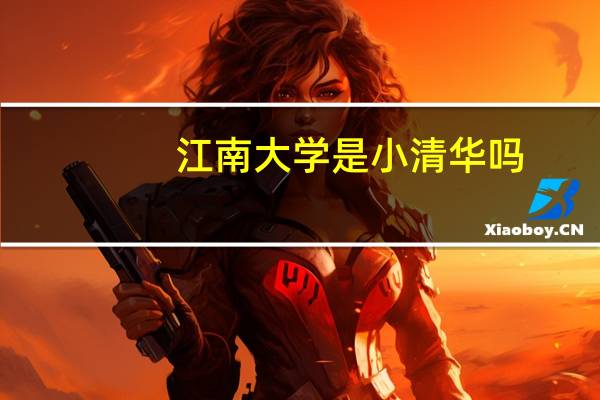 江南大学是小清华吗