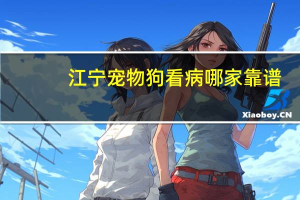 江宁宠物狗看病哪家靠谱