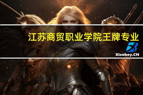 江苏商贸职业学院王牌专业