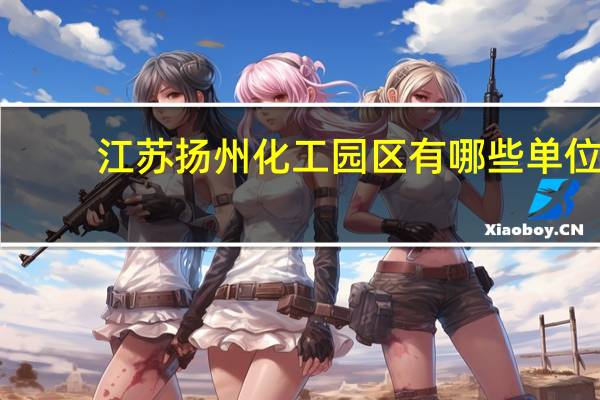 江苏扬州化工园区有哪些单位
