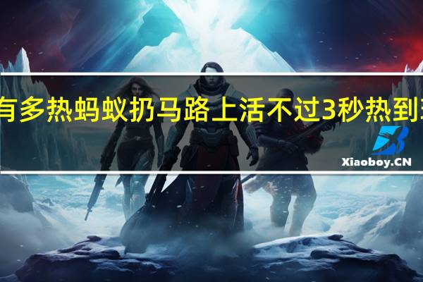 江苏有多热蚂蚁扔马路上活不过3秒 热到玻璃门爆裂