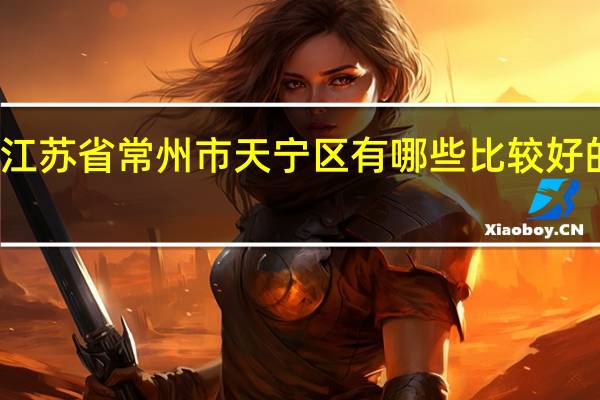 江苏省常州市天宁区有哪些比较好的小学