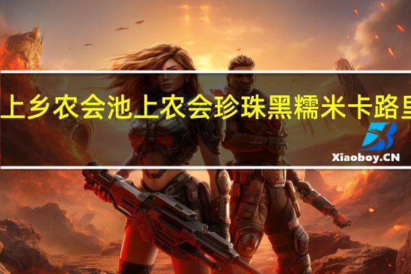 池上乡农会 池上农会 珍珠黑糯米卡路里是多少