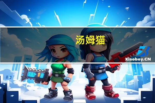 汤姆猫：公司国内团队研发的AI产品依托于西湖心辰自研西湖大模型