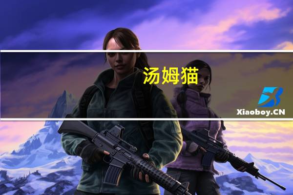 汤姆猫：第三季度净利润同比下降87.53%