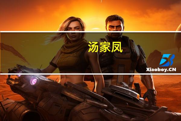 汤家凤（关于汤家凤的介绍）