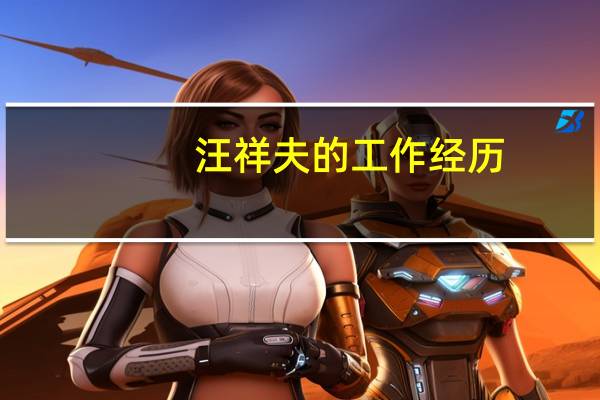 汪祥夫的工作经历