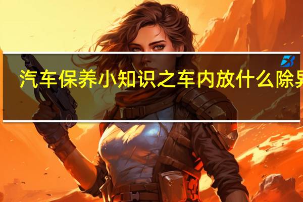 汽车保养小知识之车内放什么除异味