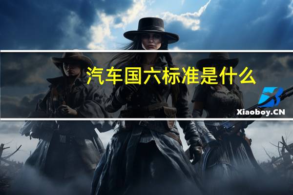 汽车国六标准是什么（汽车国六标是什么样的）