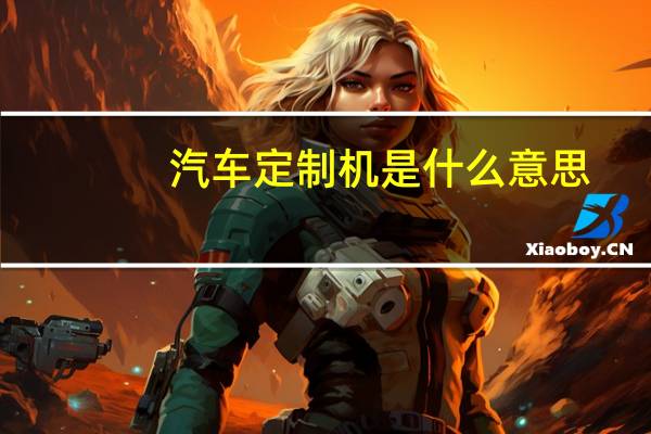 汽车定制机是什么意思（定制机是什么意思）