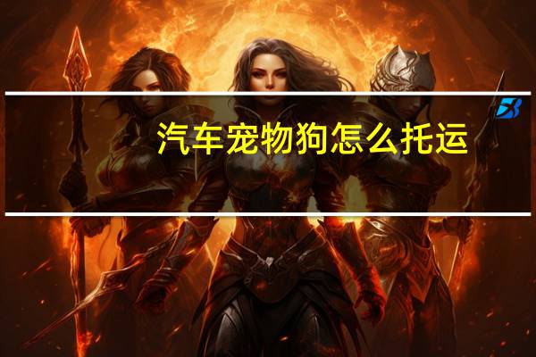 汽车宠物狗怎么托运