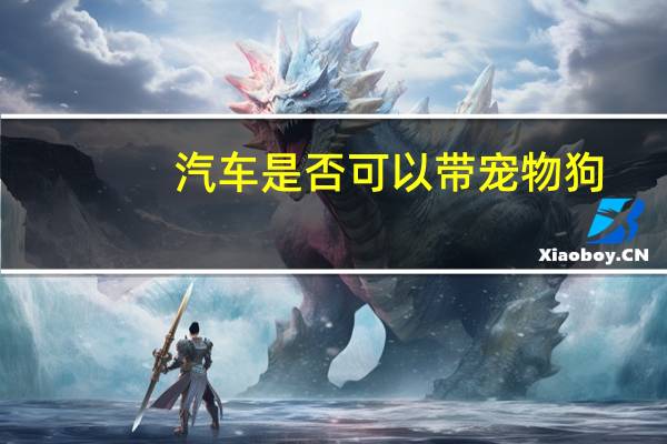 汽车是否可以带宠物狗