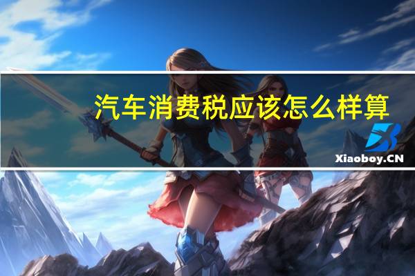 汽车消费税应该怎么样算
