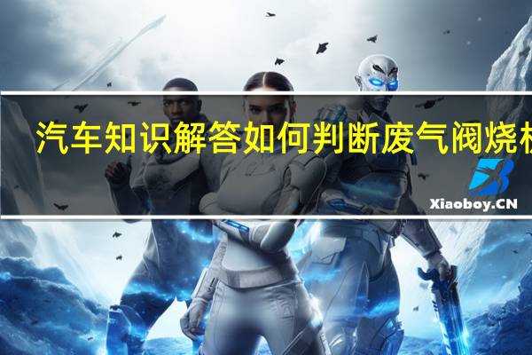 汽车知识解答如何判断废气阀烧机油？