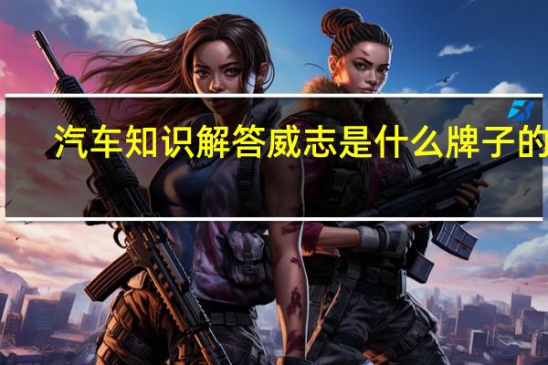 汽车知识解答威志是什么牌子的车？