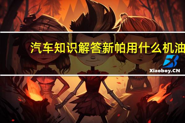 汽车知识解答新帕用什么机油？