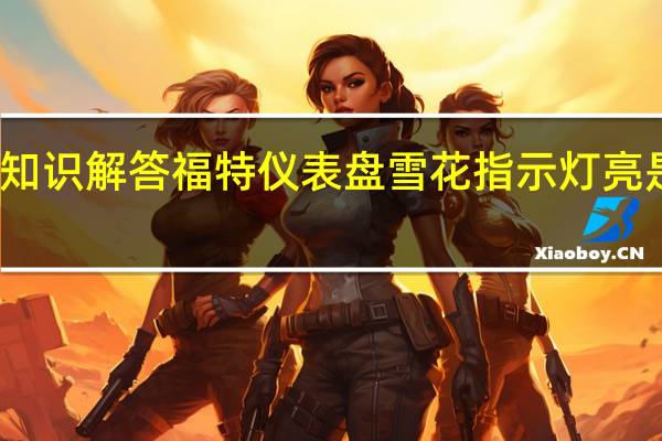 汽车知识解答福特仪表盘雪花指示灯亮是什么意思?