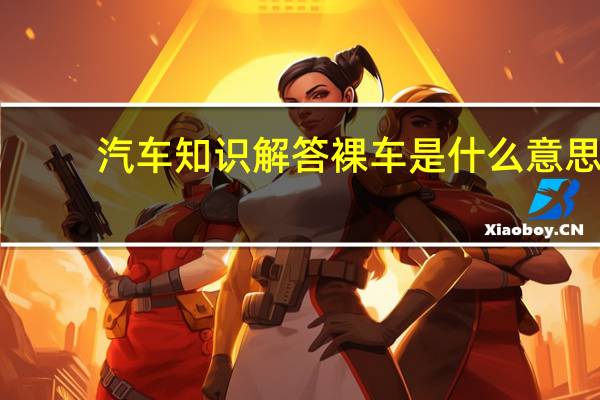 汽车知识解答裸车是什么意思？