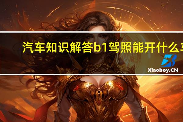 汽车知识解答b1驾照能开什么车？