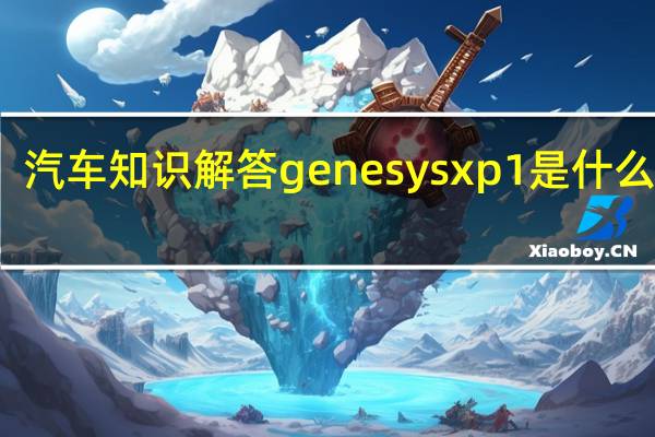 汽车知识解答genesys xp1是什么轮胎？