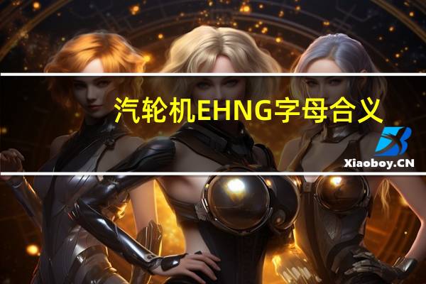 汽轮机EHNG字母合义