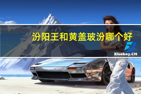 汾阳王和黄盖玻汾哪个好