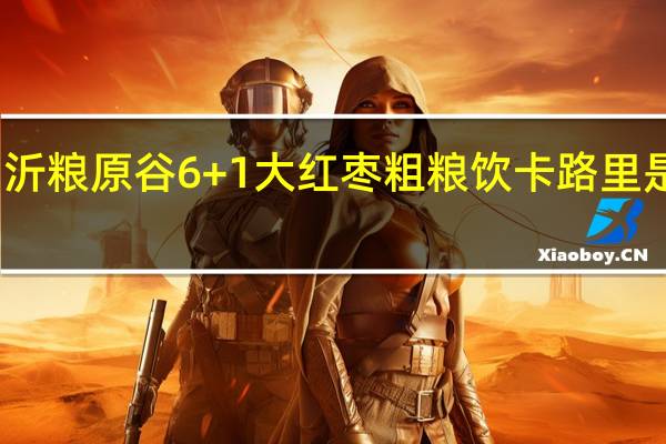 沂粮原谷6+1 大红枣粗粮饮卡路里是多少