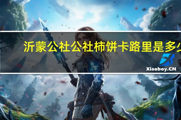沂蒙公社 公社柿饼卡路里是多少