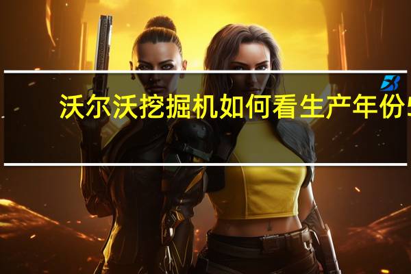 沃尔沃挖掘机如何看生产年份5