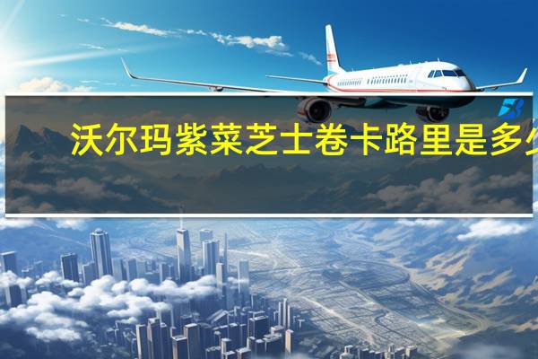 沃尔玛 紫菜芝士卷卡路里是多少