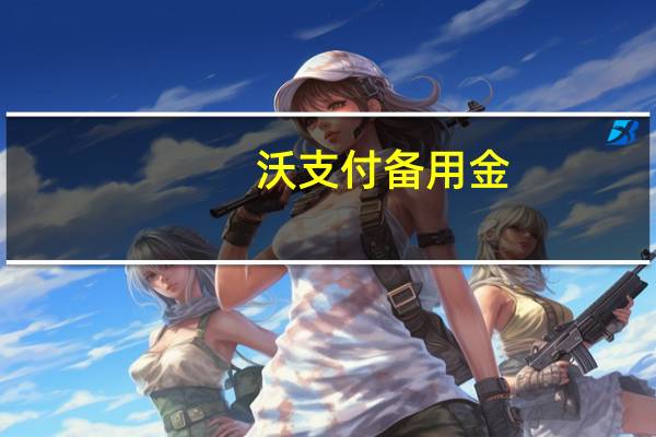 沃支付备用金（沃支付）