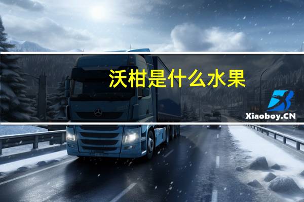 沃柑是什么水果