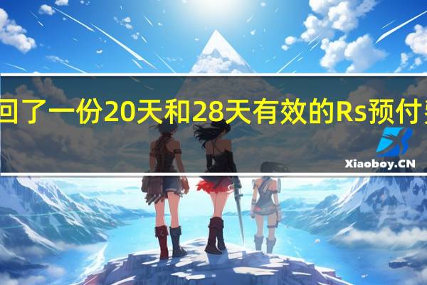 沃达丰带回了一份20天和28天有效的Rs预付费计划详情如下