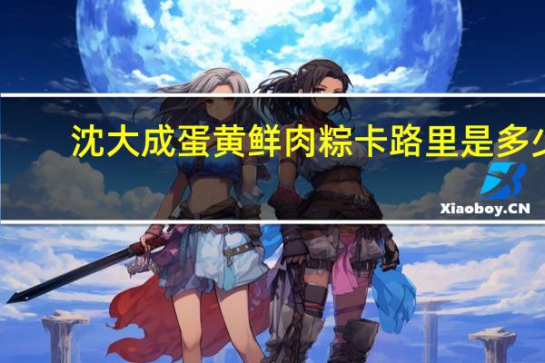 沈大成蛋黄鲜肉粽卡路里是多少