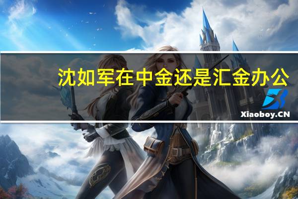 沈如军在中金还是汇金办公（沈如军-中央汇金投资有限责任公司副董事长兼总经理介绍）