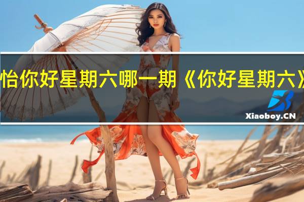 沈月孙怡你好星期六哪一期 《你好星期六》收视创新高