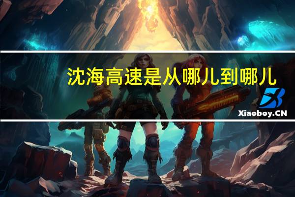 沈海高速是从哪儿到哪儿?(沈海高速是哪里到哪里)