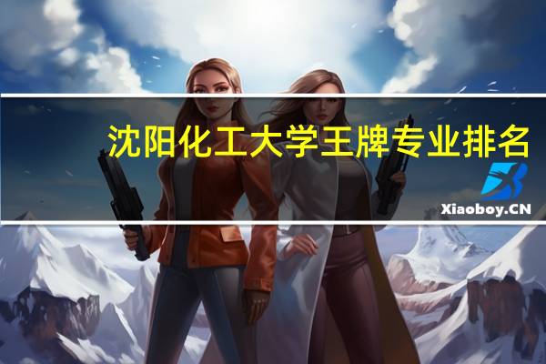 沈阳化工大学王牌专业排名