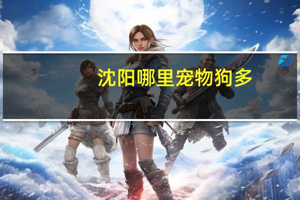沈阳哪里宠物狗多