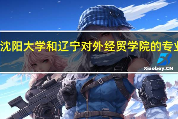 沈阳大学和辽宁对外经贸学院的专业对比