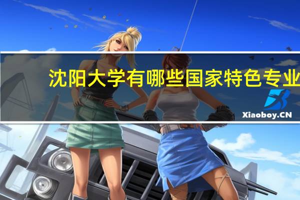 沈阳大学有哪些国家特色专业