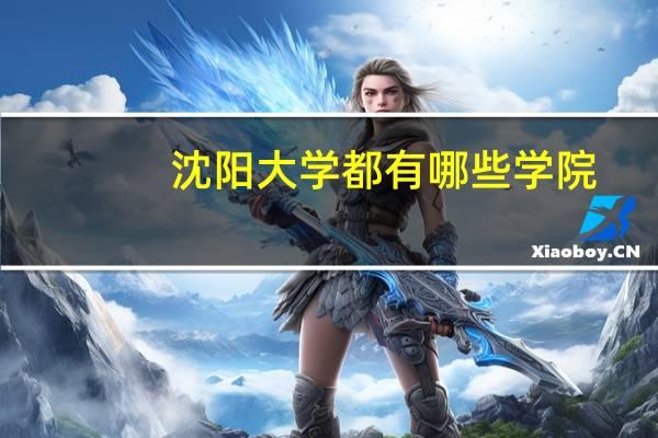 沈阳大学都有哪些学院