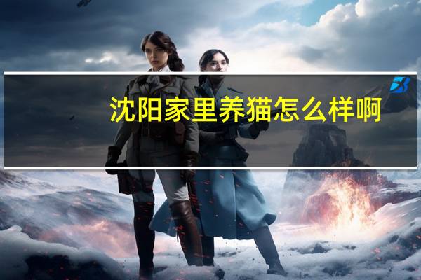 沈阳家里养猫怎么样啊