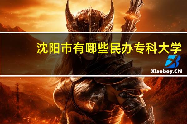 沈阳市有哪些民办专科大学