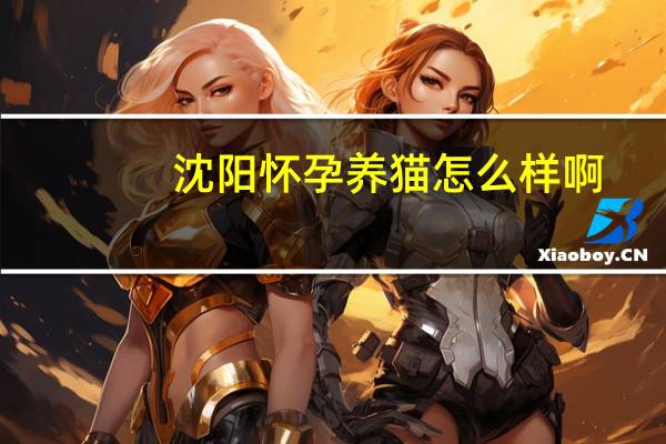 沈阳怀孕养猫怎么样啊