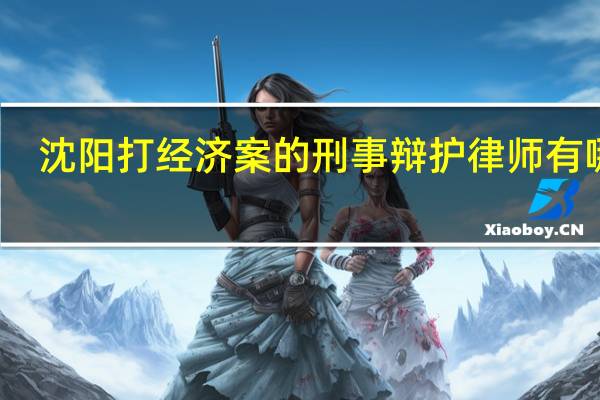 沈阳打经济案的刑事辩护律师有哪些