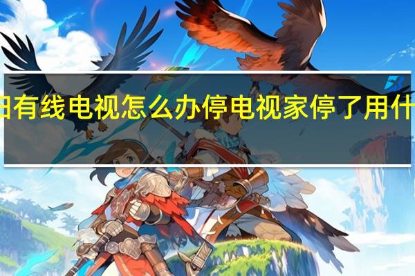 沈阳有线电视怎么办停 电视家停了用什么看电视