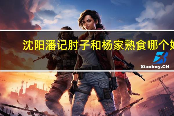 沈阳潘记肘子和杨家熟食哪个好