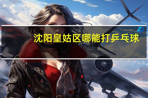 沈阳皇姑区哪能打乒乓球